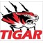 Шины Tigar